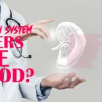 The Kidney’s Role in Blood Filtration: What You Need to Know